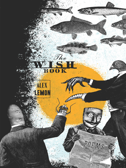 Cover image for The Wish Book